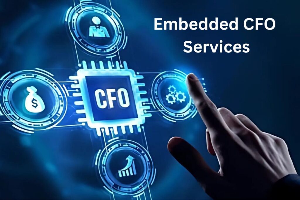 embedded cfo service